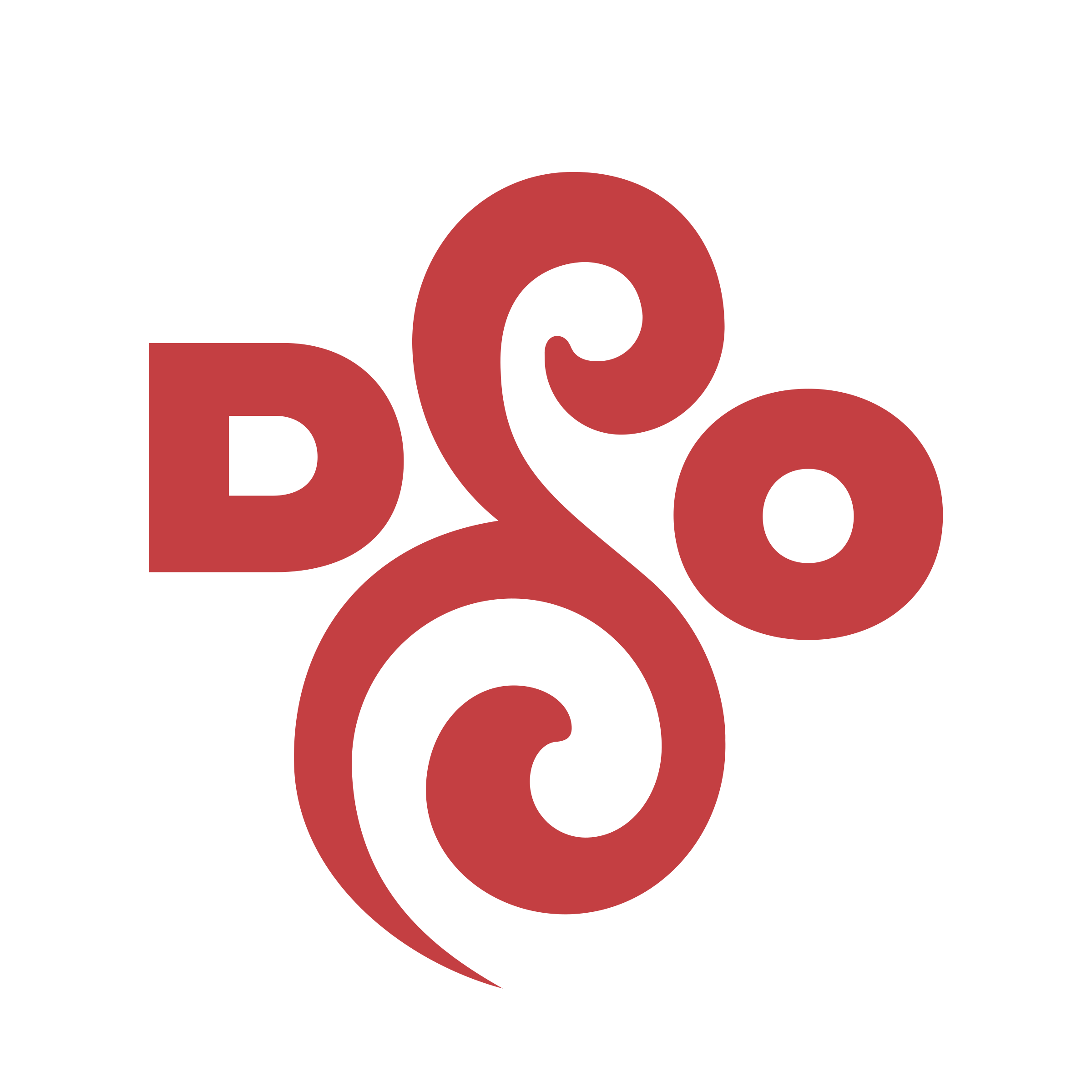 DSO Datenschutz Logo